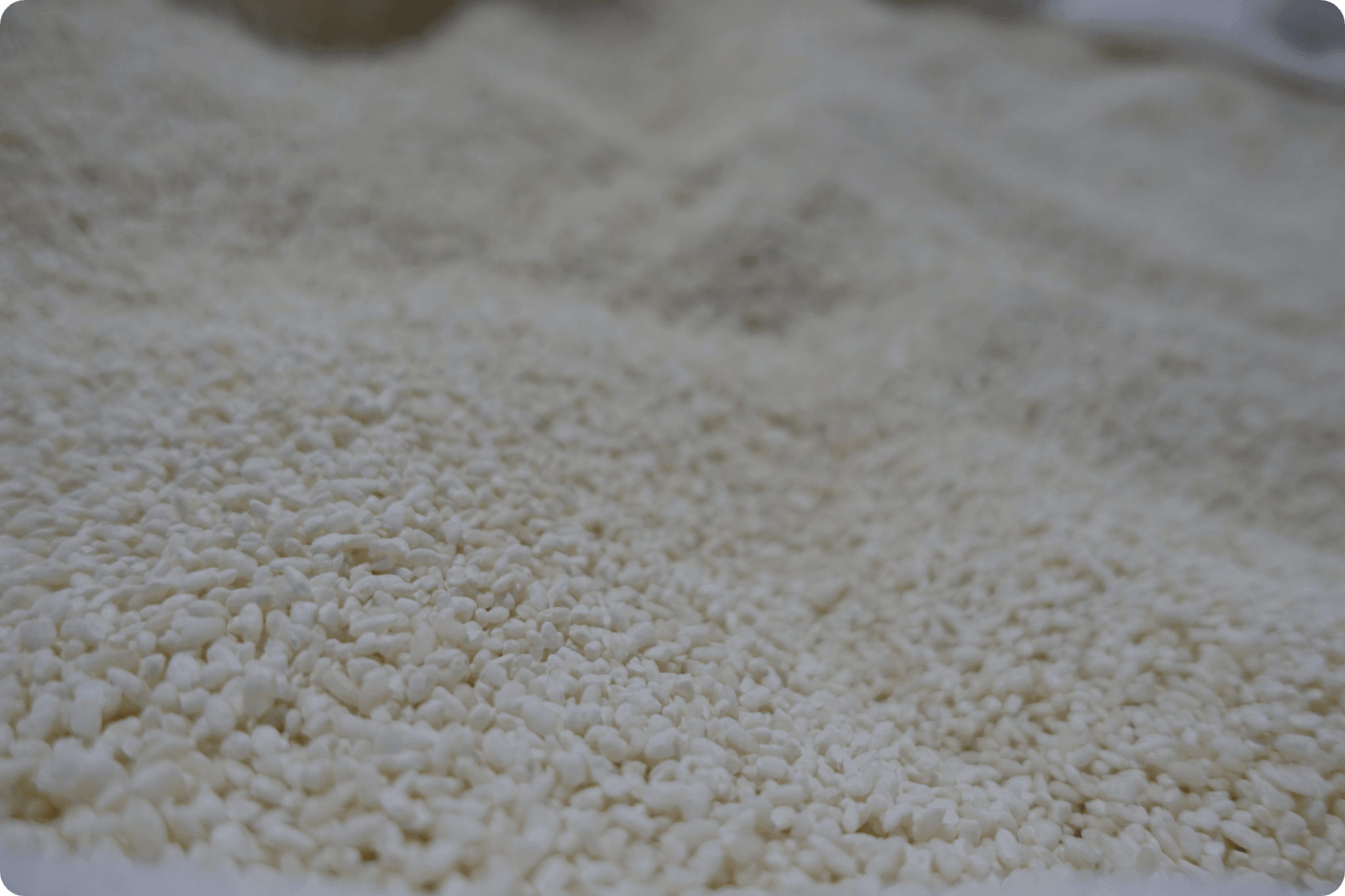 お酒を作る前のお米の様子