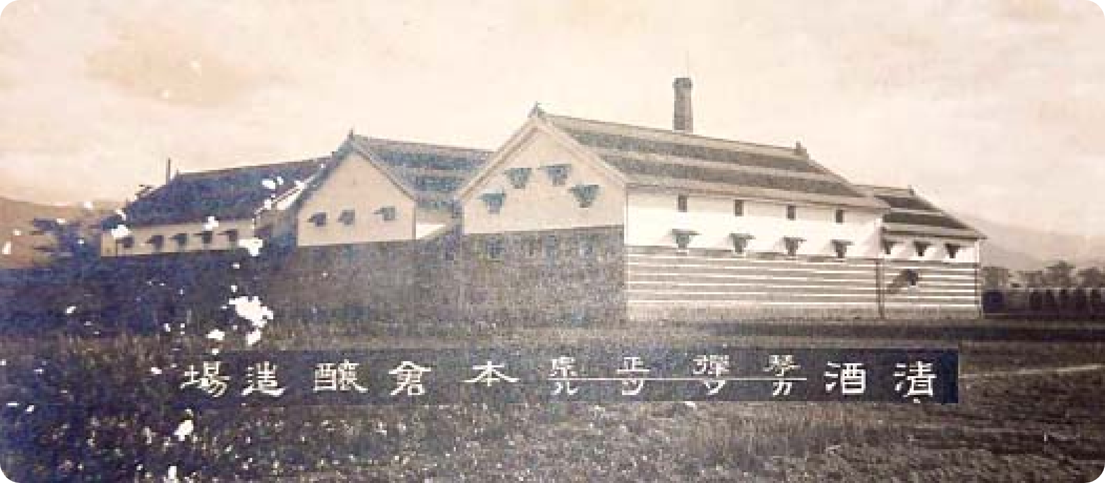 普通酒を中心とした大きなタンクでの酒造りから、手作業と少量の仕込みによる「品質重視」の日本酒造りへと少しずつ移行した川鶴酒造