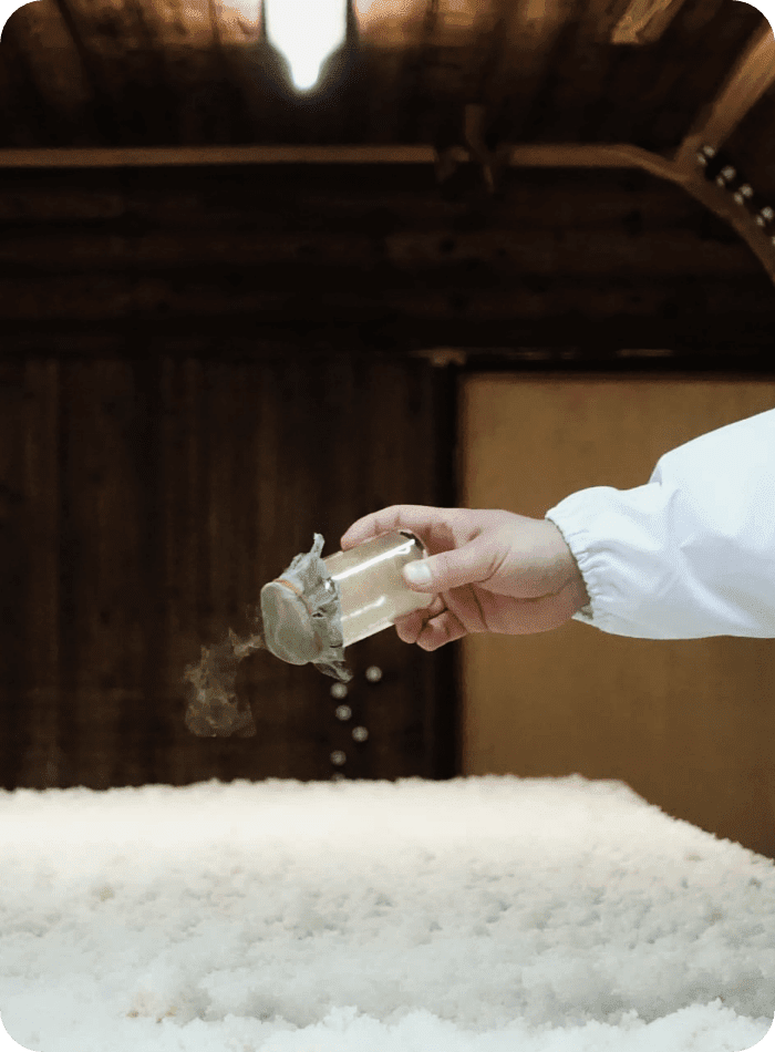 米の特徴を最大限に活かす酒造りの様子