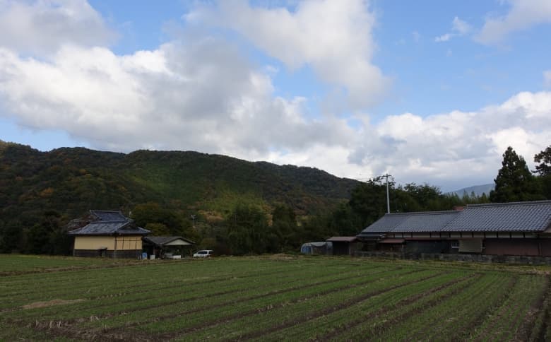 契約農家さんの様子