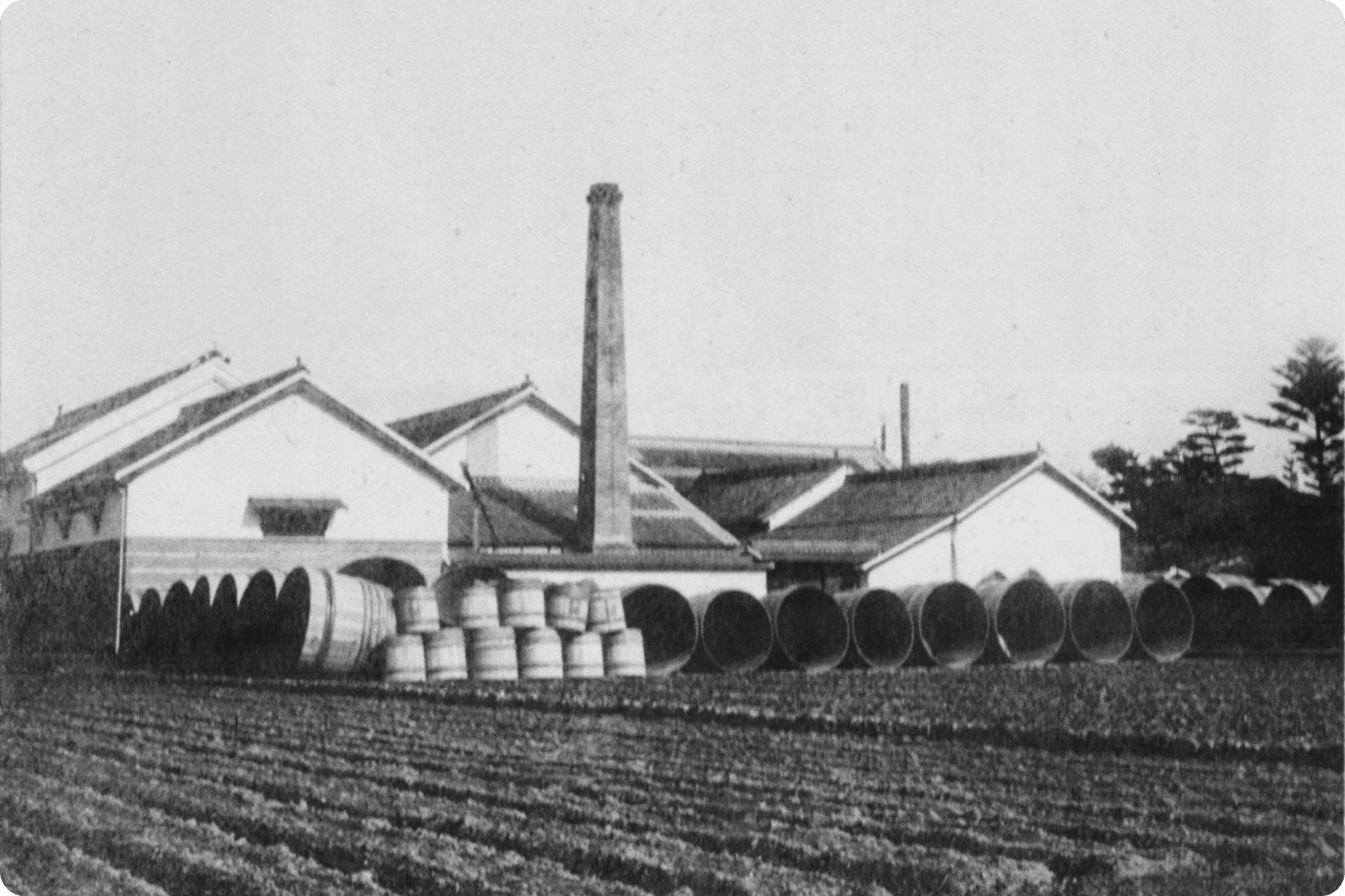 財田川近くに蔵を構える川鶴酒造